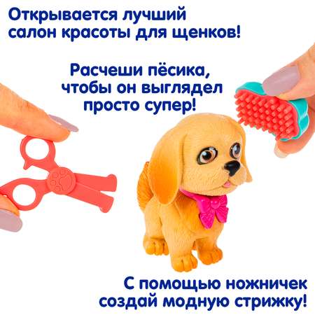 Игровой набор Bondibon ЛАПА ДРУЖБЫ Щенок бежевый с