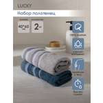Полотенце LUCKY 40 x 60 см 2 шт.