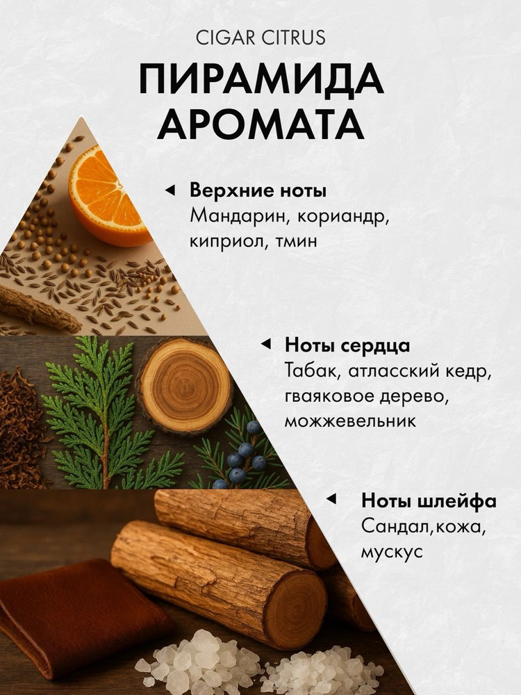 Диффузор с сухоцветами в Премиум тубусе Accents Cigar Citrus - фото 2