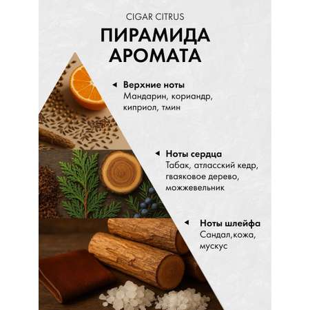 Диффузор с сухоцветами в Премиум тубусе Accents Cigar Citrus