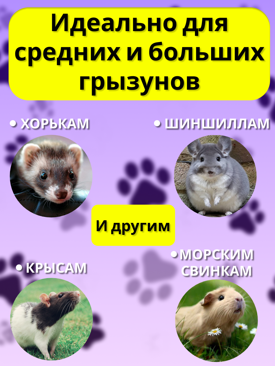 Гамак для грызунов PetiPet коричневый голубой 30х30 двухъярусный - фото 4