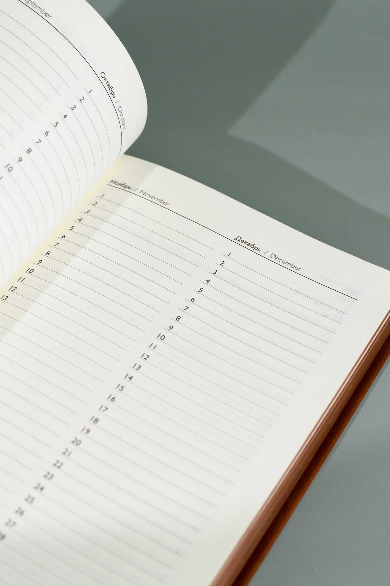 Ежедневник Феникс + ESCALADA 160 лист. - фото 13