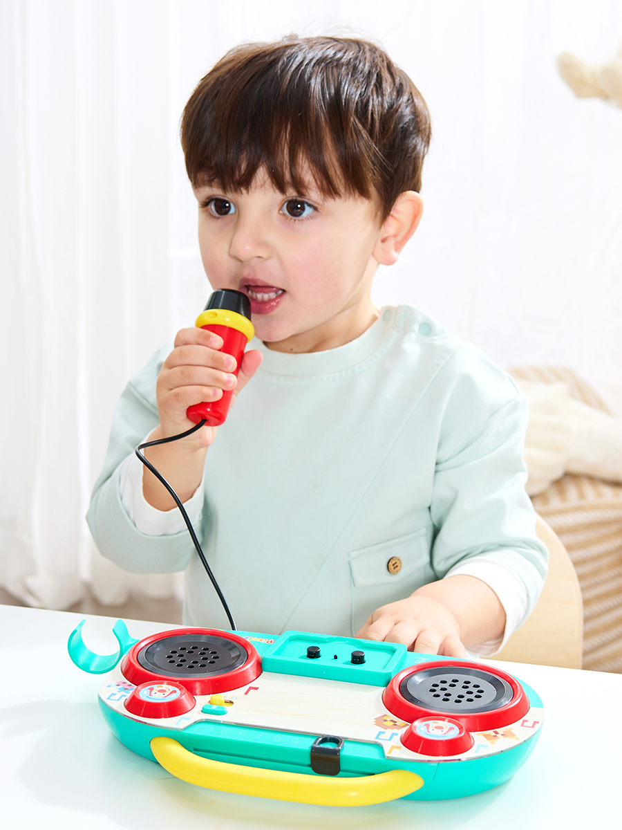Игрушка музыкальная Hape аксессуар - фото 1