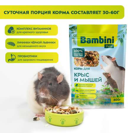 Корм для крыс и мышей Bambini Pets 800г