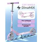 Самокат Рыжий кот двухколесный