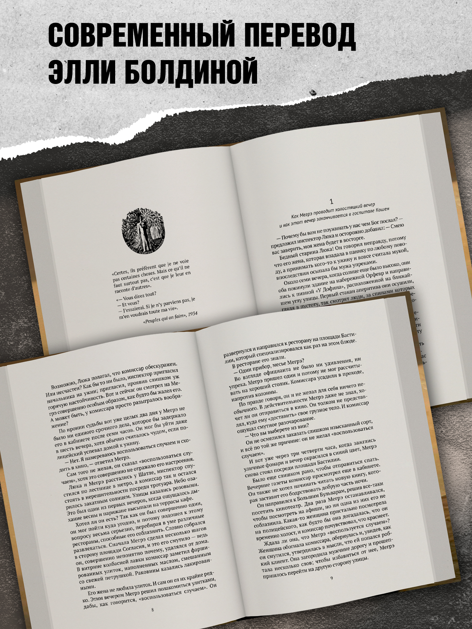 Тайны Мегрэ Феникс Книга - фото 7