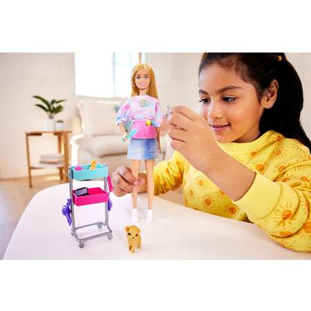 Кукла модельная Barbie Малибу Стилист