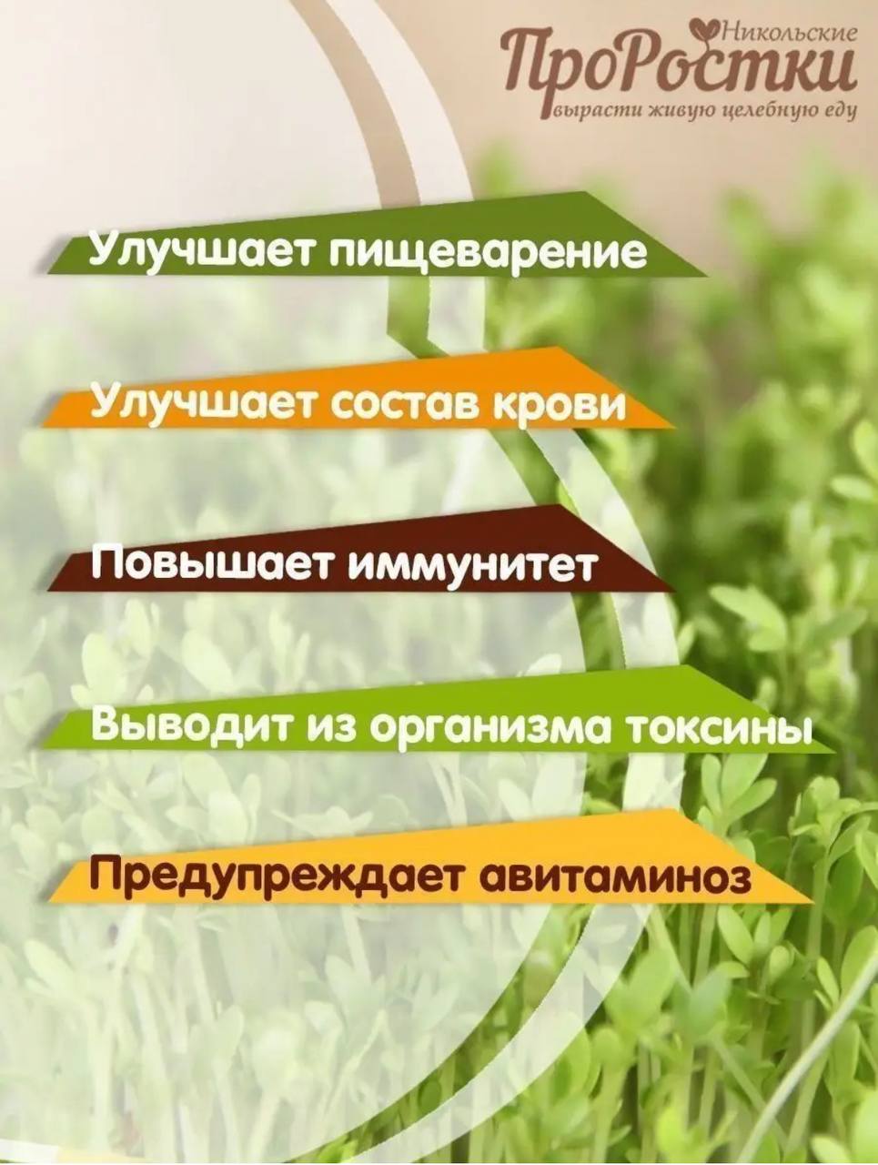 Семена для микрозелени MegaMedia кресс-салат - фото 3