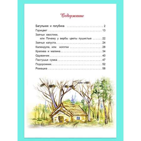Книга Алтей Сказки с лесной полянки