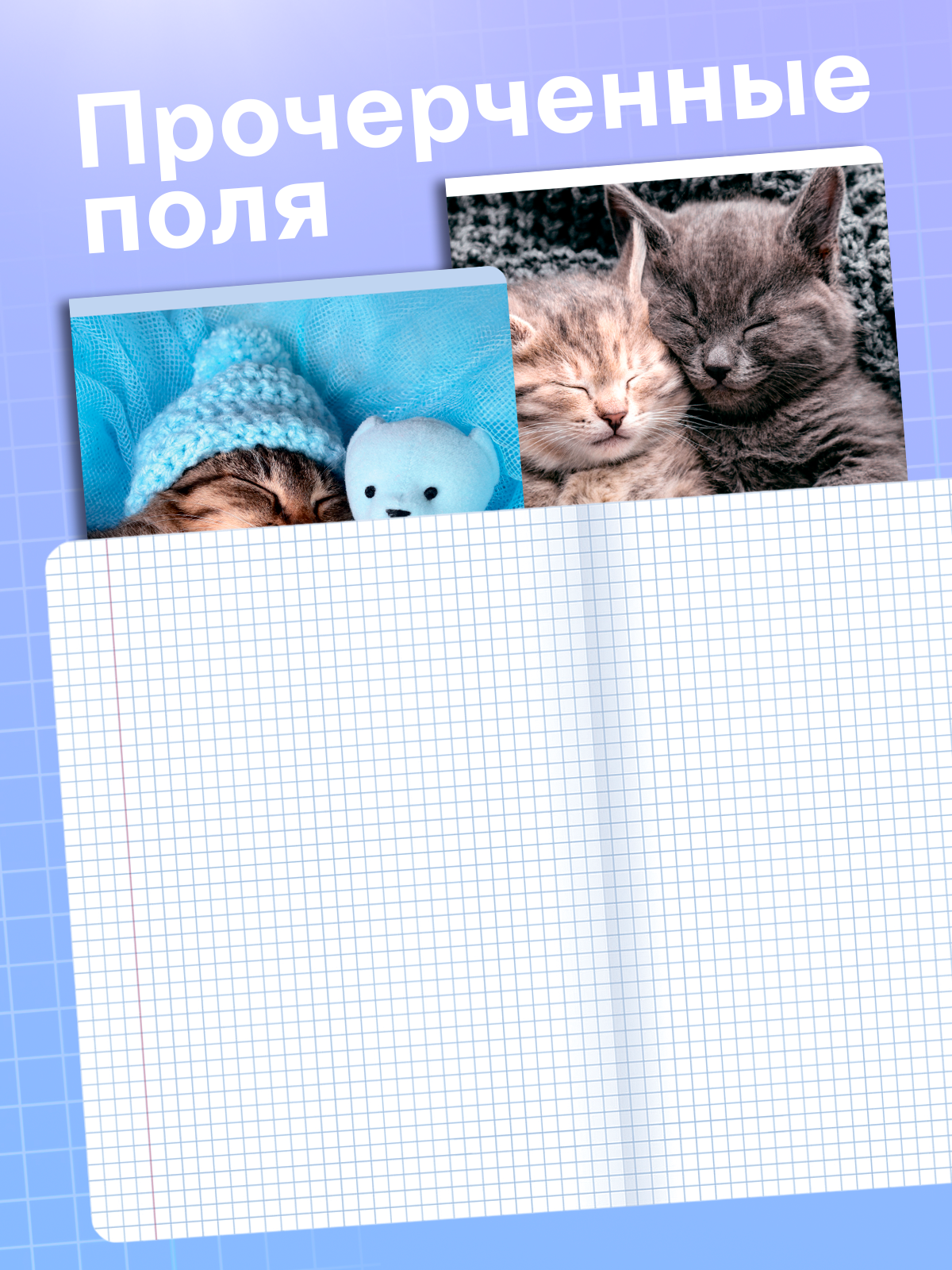 Тетрадь AXLER клетка 18 лист. 10 шт. - фото 3