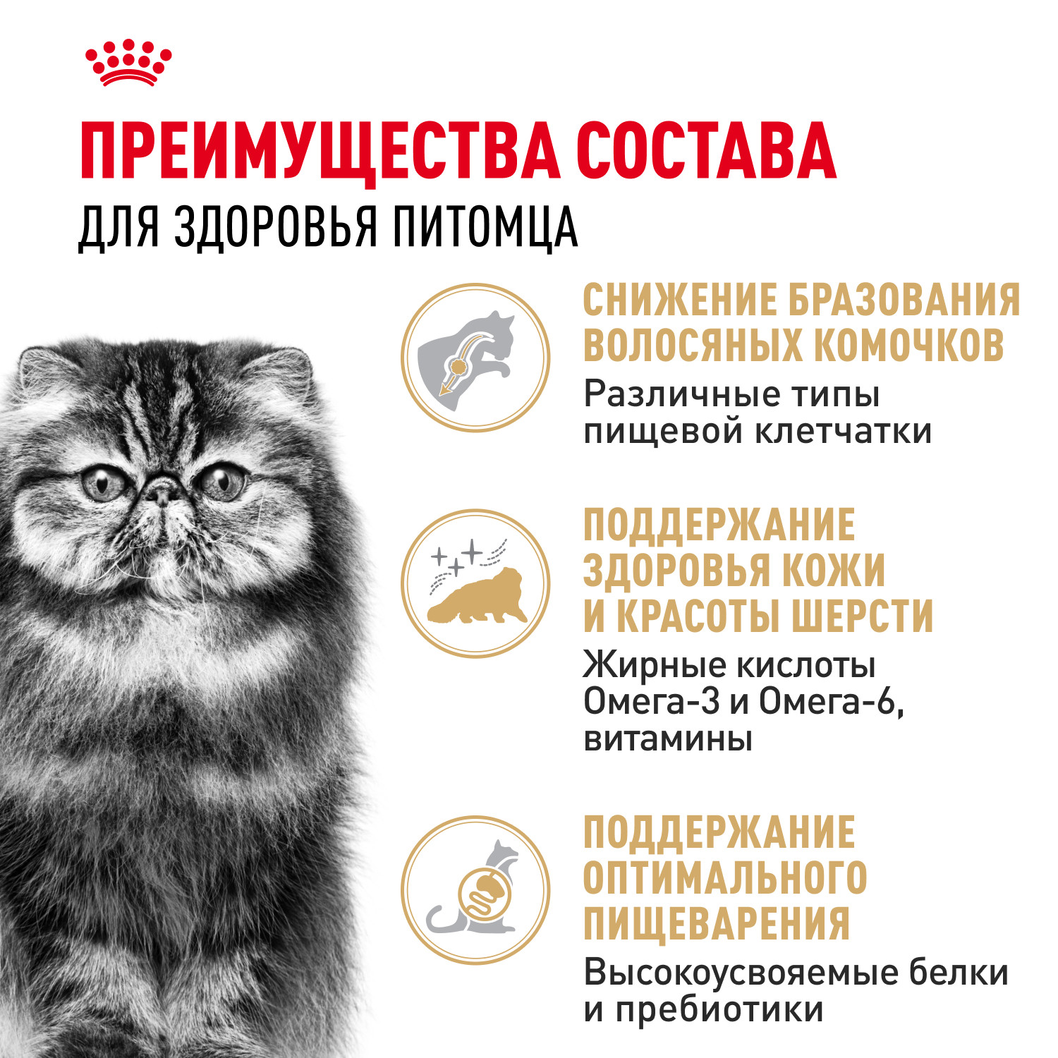 Корм сухой для кошек ROYAL CANIN Persian 400г персидских - фото 3