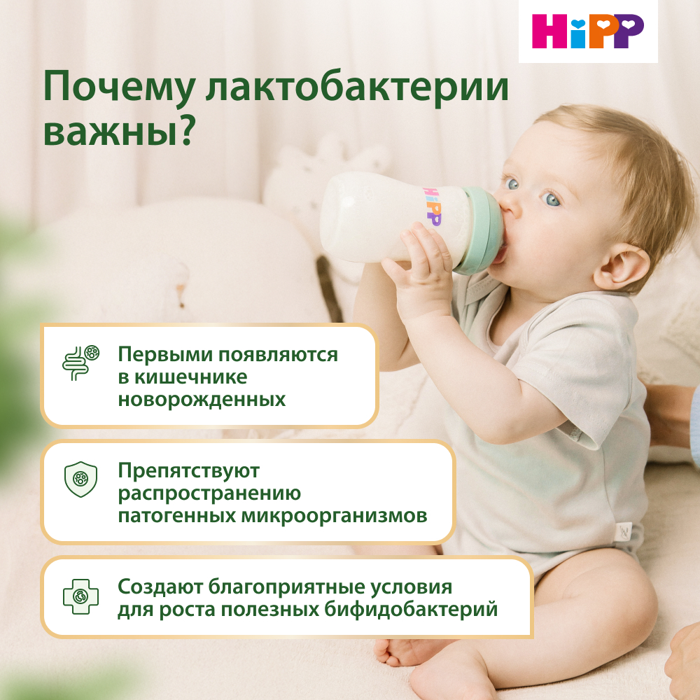 Смесь молочная Hipp 2 Combiotic 900г с 6месяцев - фото 8