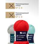 Пряжа Astra Premium Паллада акриловая 100 г 100 м 10 красный 3 мотка