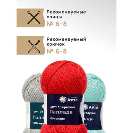Пряжа Astra Premium Паллада акриловая 100 г 100 м 10 красный 3 мотка