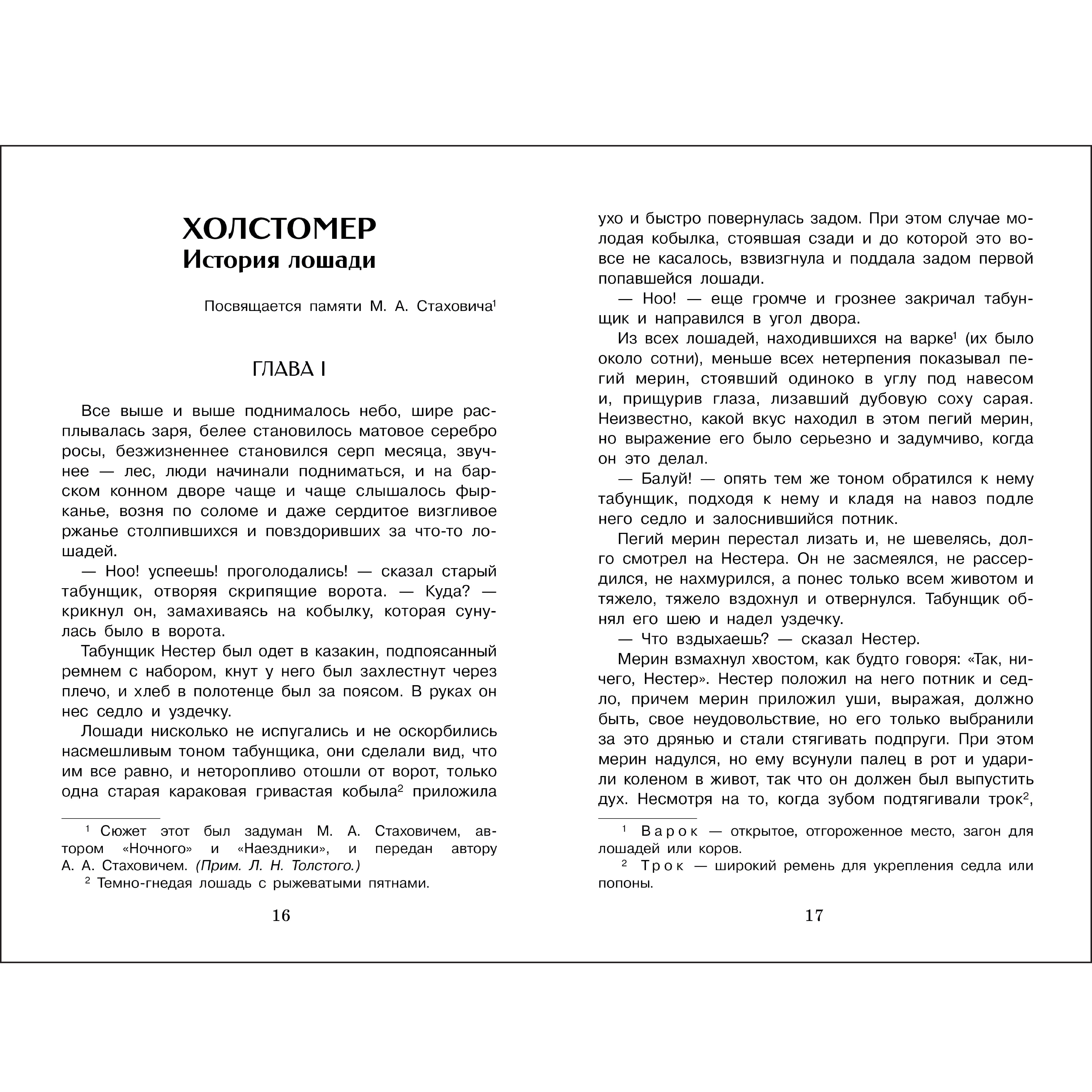 Книга СТРЕКОЗА Внеклассное чтение - фото 3
