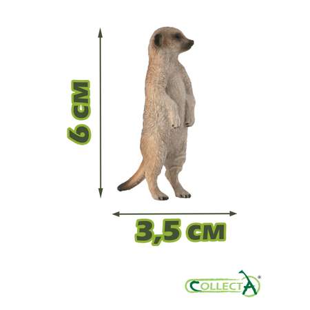 Фигурка Collecta Сурикат