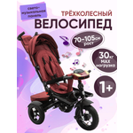 Трехколесный велосипед ZigZag 12 дюймов