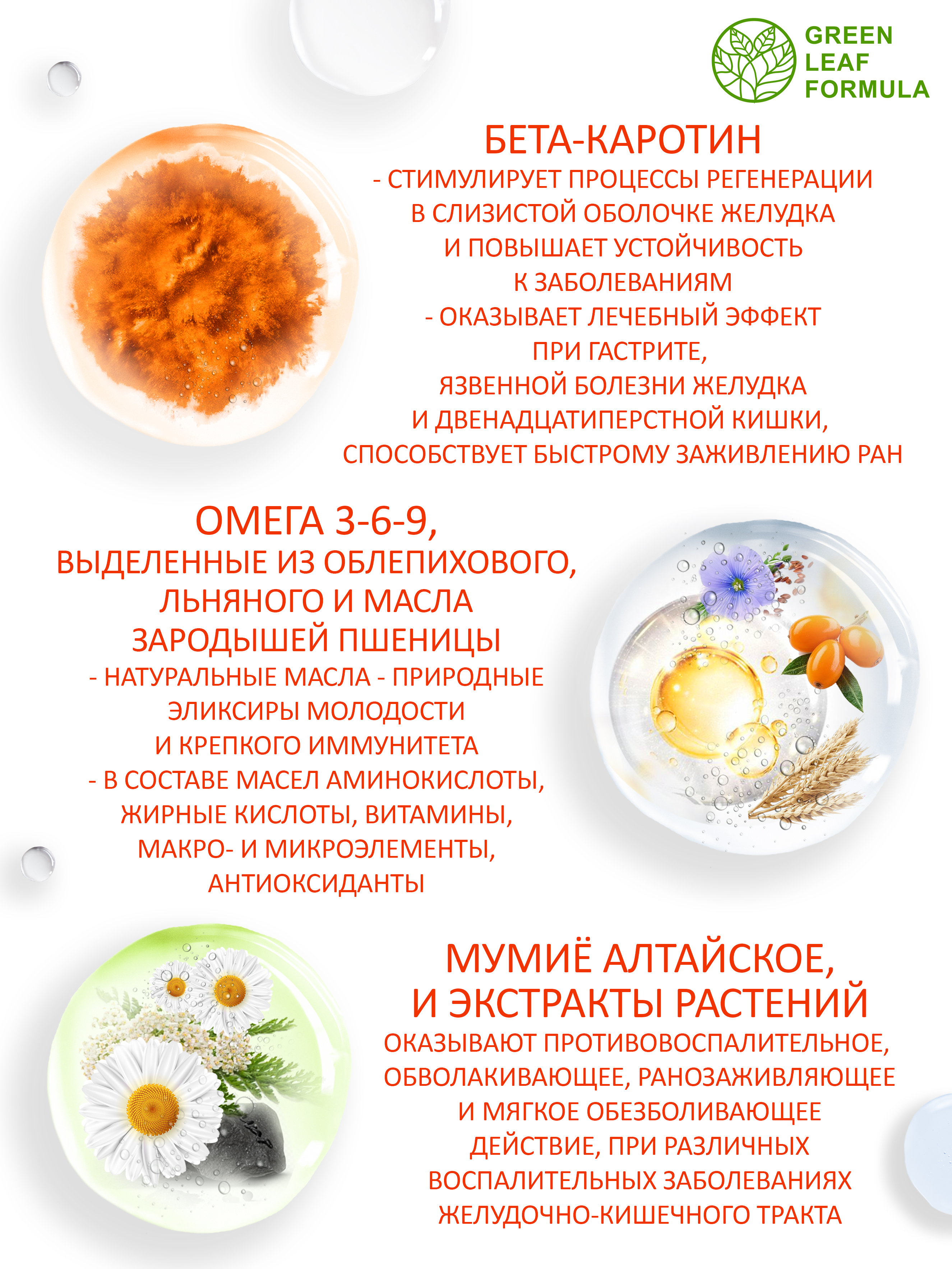 Аминокислота Глютамин Green Leaf Formula витамины для мозга и нервной системы для спорта 790 мг 60 капсул - фото 5