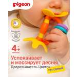 Прорезыватель Pigeon Цветок