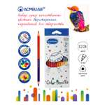 Карандаши цветные ACMELIAE 12 шт.