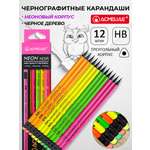 Карандаши чернографитные ACMELIAE 12 шт.