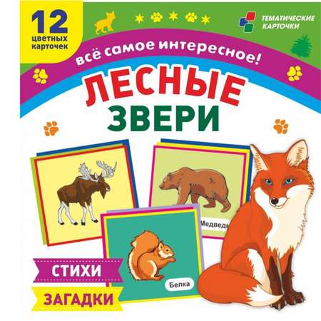 Карточки Учитель Лесные звери