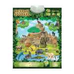 Игрушка Знаток