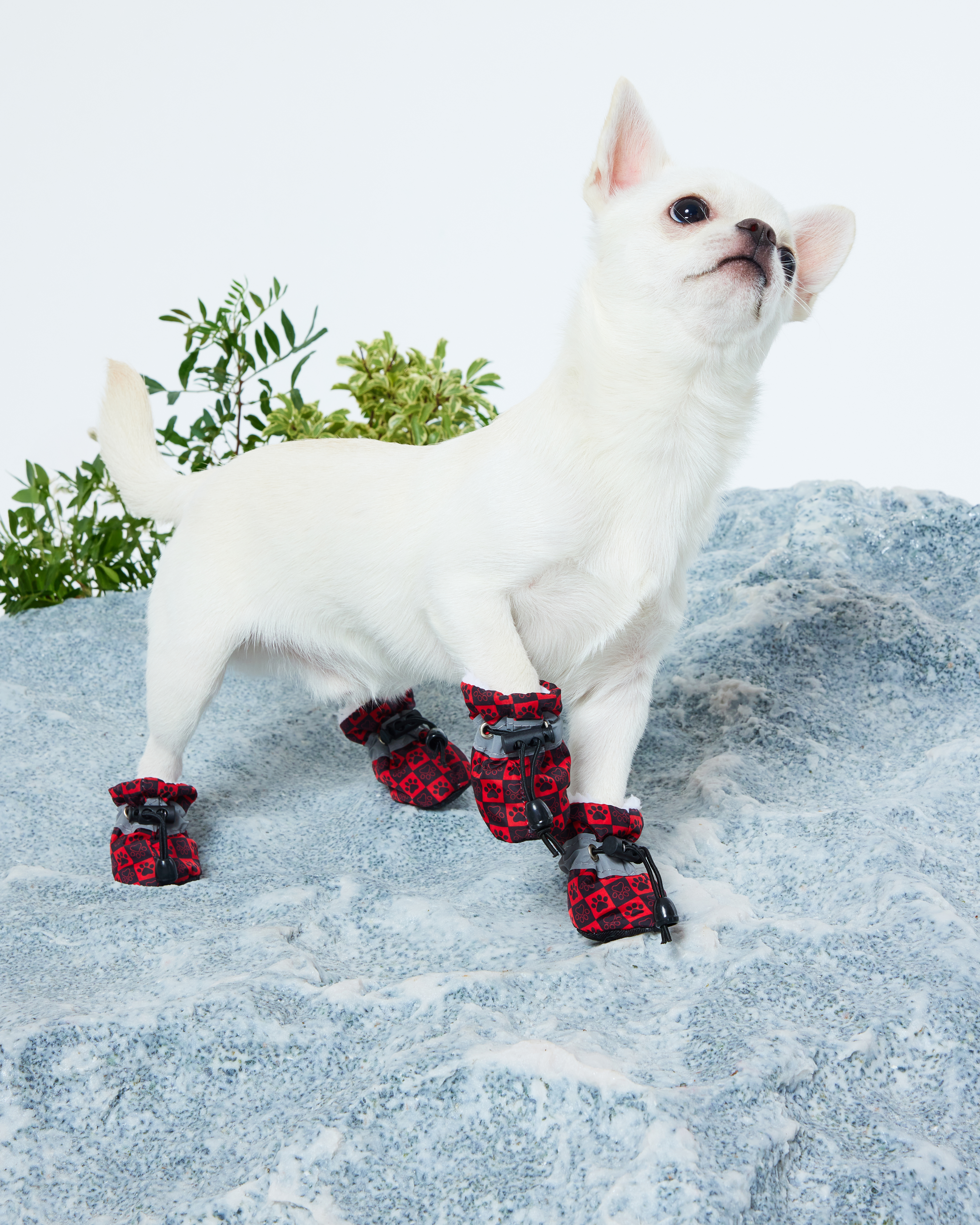 Ботинки для собак Зоозавр 4 шт - фото 1