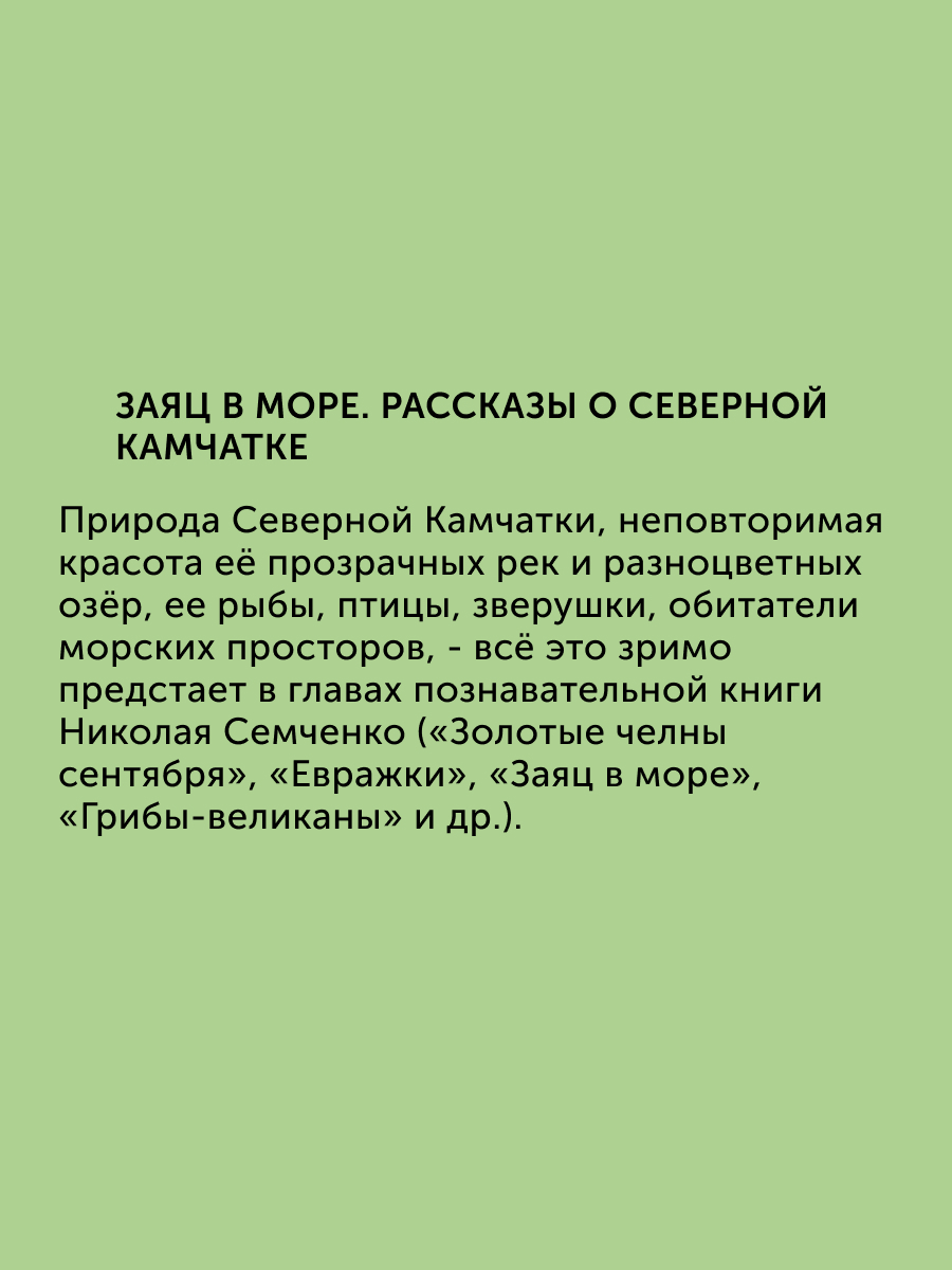 Комплект книг Настя и Никита о городах России развитие детей - фото 5