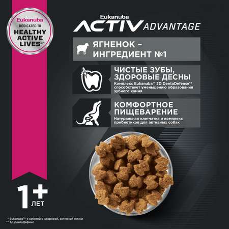 Корм для собак Eukanuba 2.5кг Dog с ягненком для взрослых крупных пород