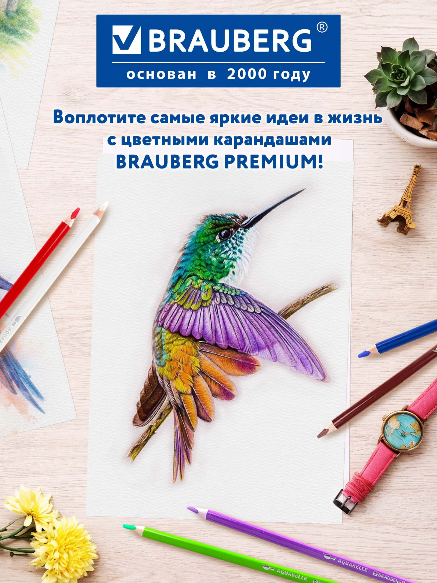 Карандаши акварельные Brauberg 36 шт. - фото 7