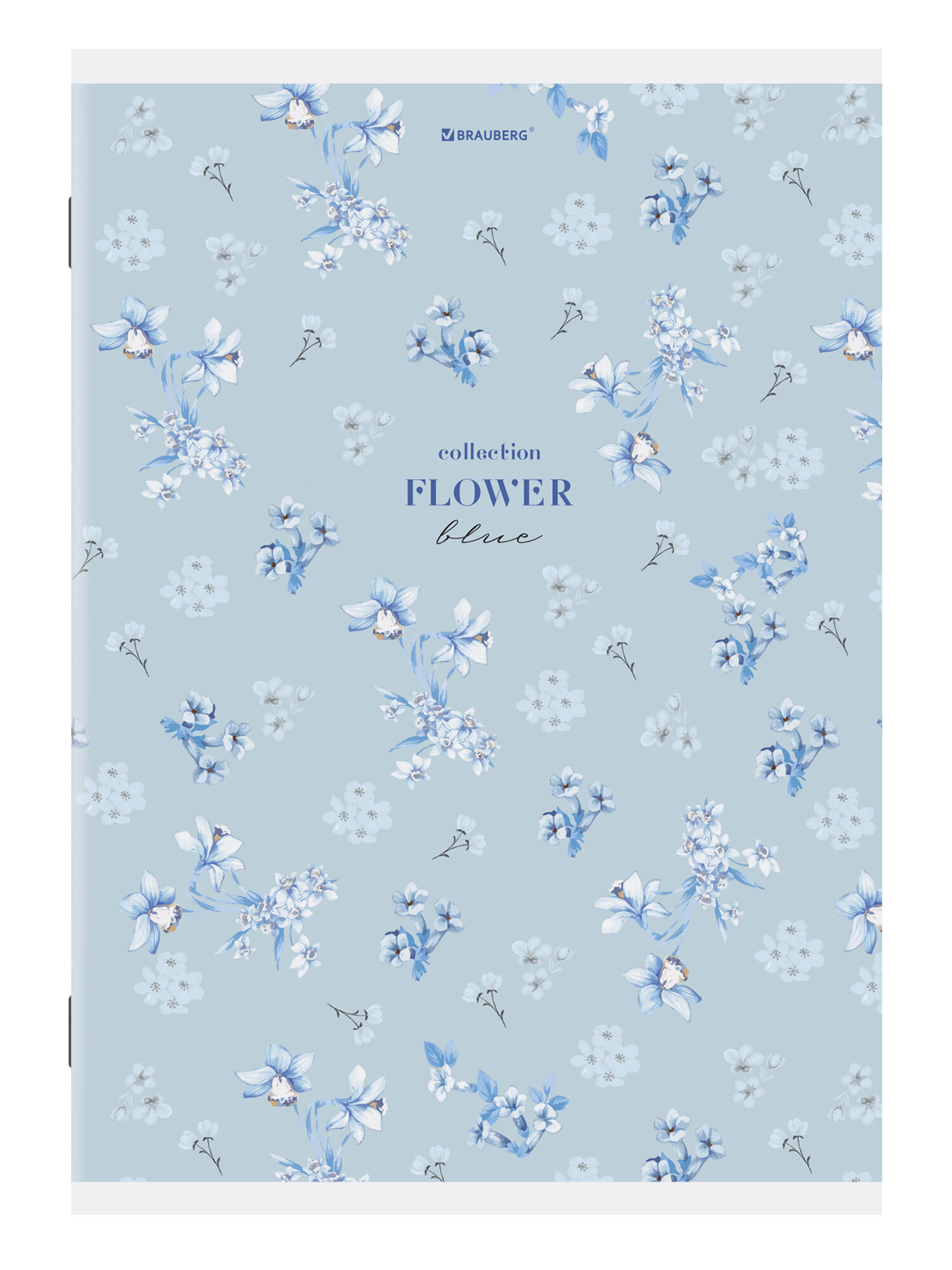 Общая тетрадь Brauberg клетка 96 лист. 3 шт. - фото 6