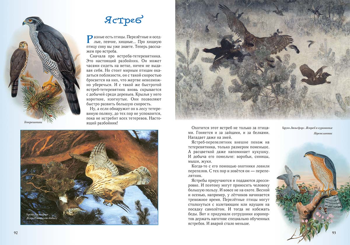 Книга Белый город Прогулки по лесу. - 2-е изд. - фото 7