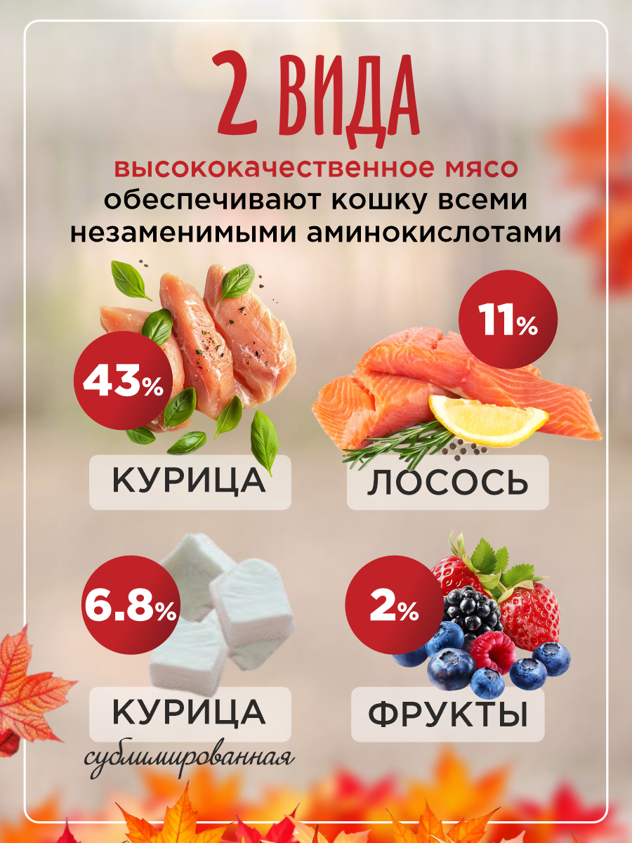 Сухой корм для кошек Paddy Time Курица с лососем с сублимированным мясом 1.5 кг - фото 3