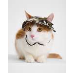 Изображение товара Панама для собак и кошек Зоозавр: M