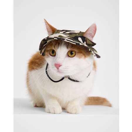 Панама для собак и кошек Зоозавр