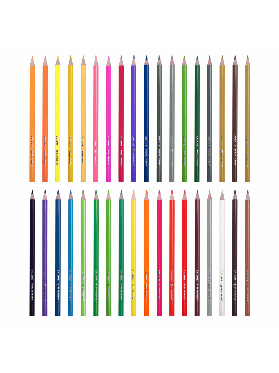 Карандаши цветные Brauberg 36 шт. - фото 10