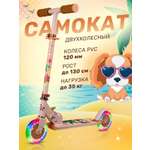 Самокат CITYRIDE двухколесный