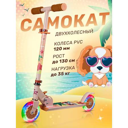 Самокат CITYRIDE двухколесный