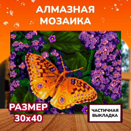Алмазная мозаика LORI(колорит) Фиолетовые цветочки