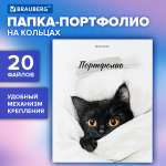 Портфолио школьника Brauberg папка А4 на кольцах 20 файлов для девочки и мальчика