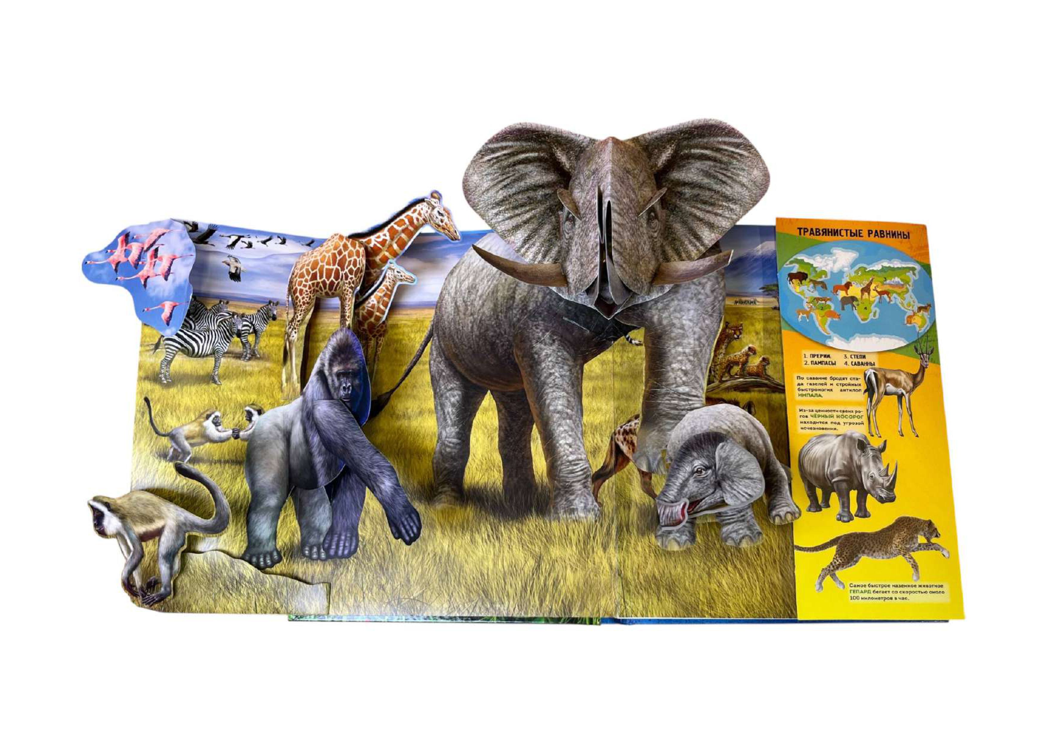 Книга Эксмо Животные 3D энциклопедия - фото 3