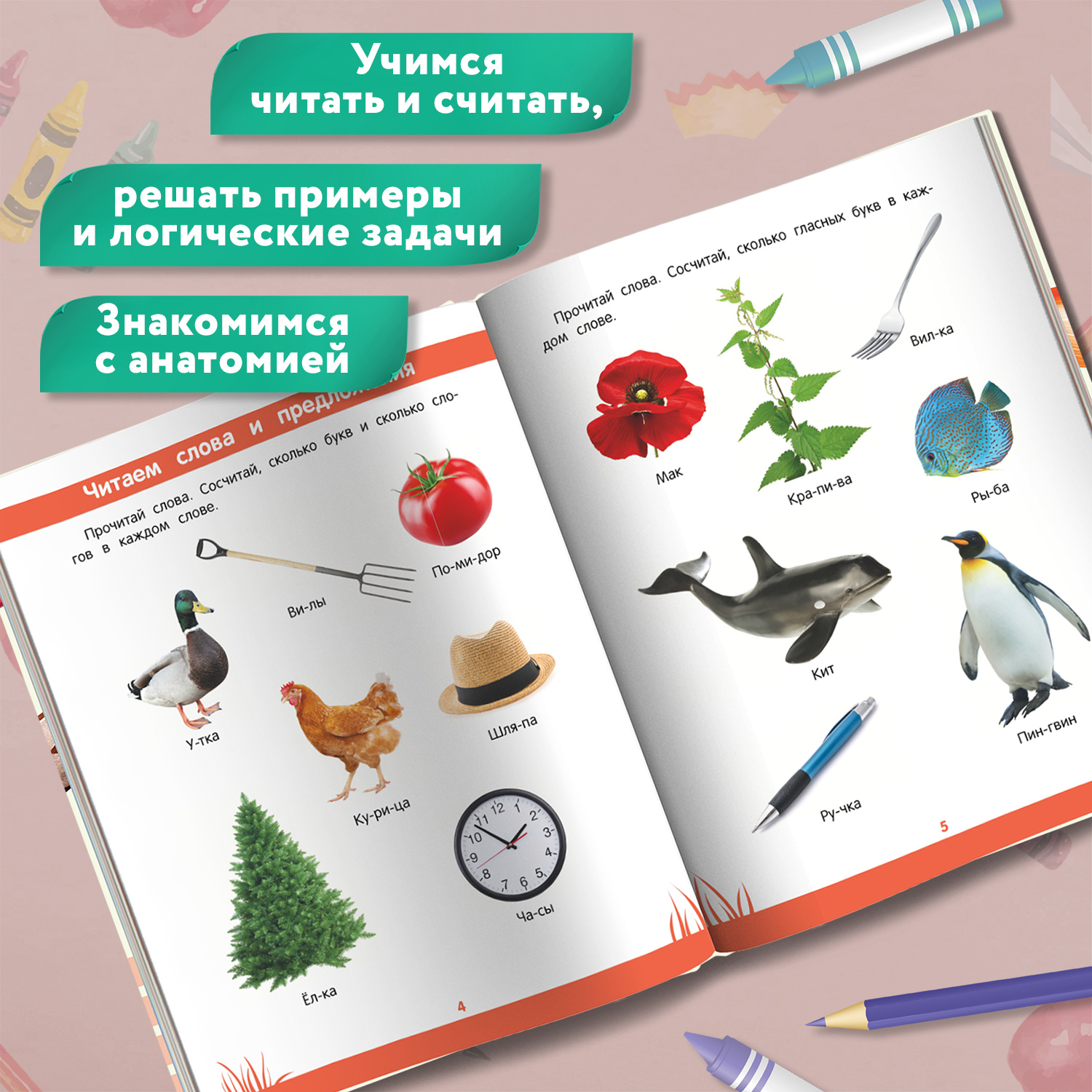 Книга Феникс Первая книга знаний Энциклопедия дошкольника 6-7 лет - фото 4