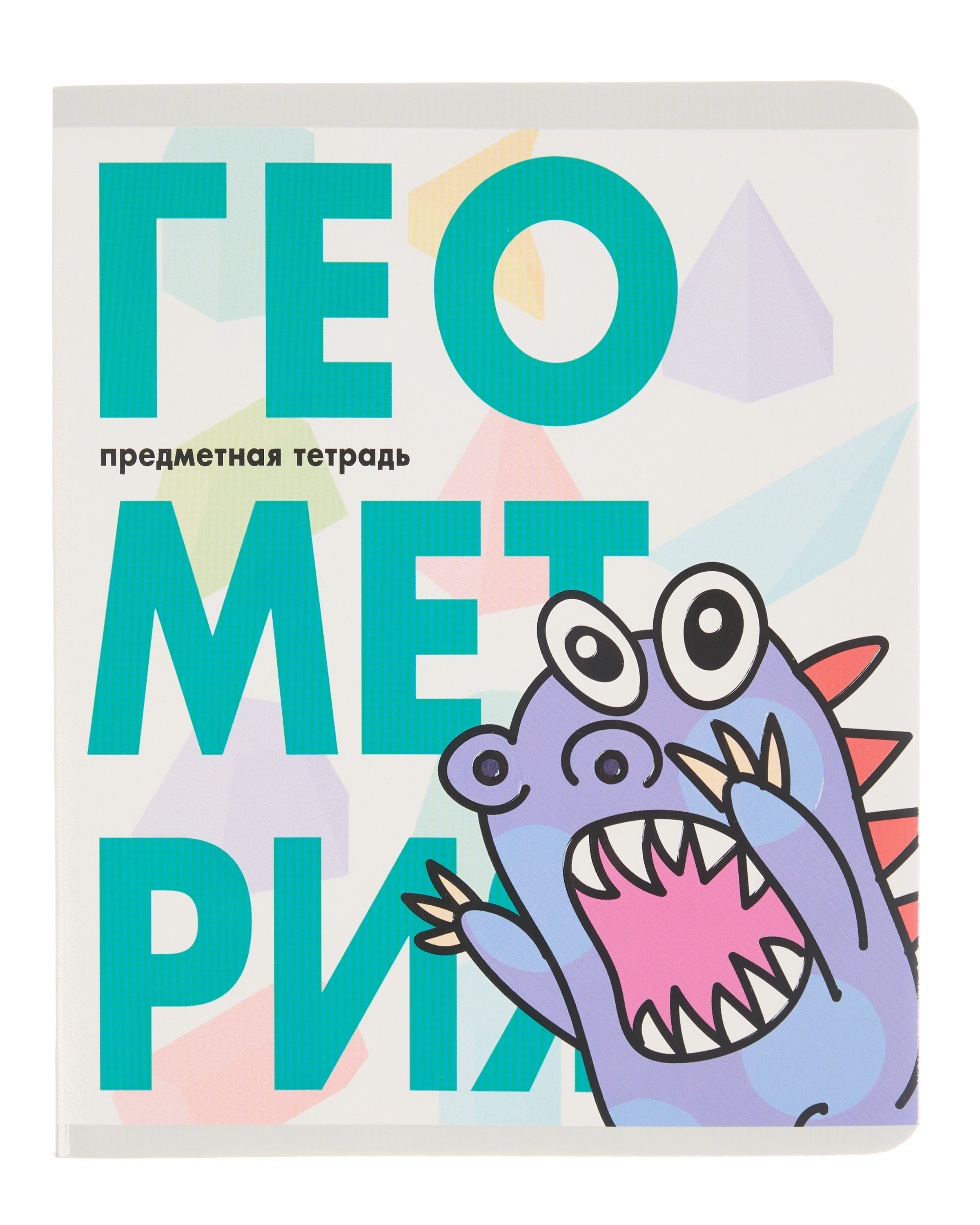 Тетрадь Erhaft 48 лист. (Геометрия) - фото 1