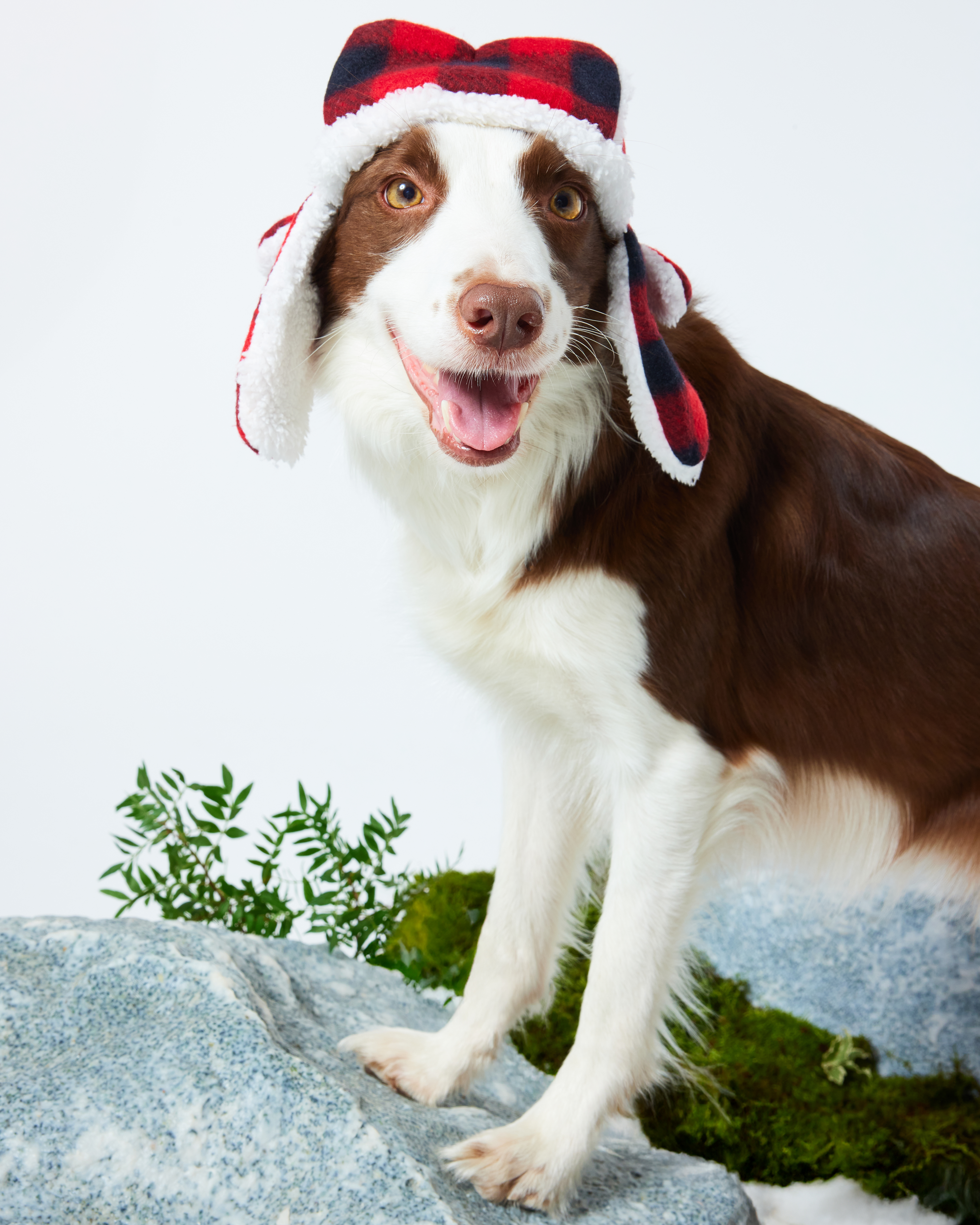 Шапка-ушанка для собак и кошек Зоозавр - фото 2