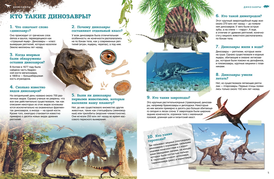 Книга Махаон Динозавры (Перевод Ольги Лифинцевой) - фото 10