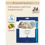 Карандаши цветные Bruno Visconti 24 шт.