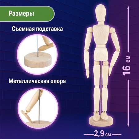 Манекен Brauberg
