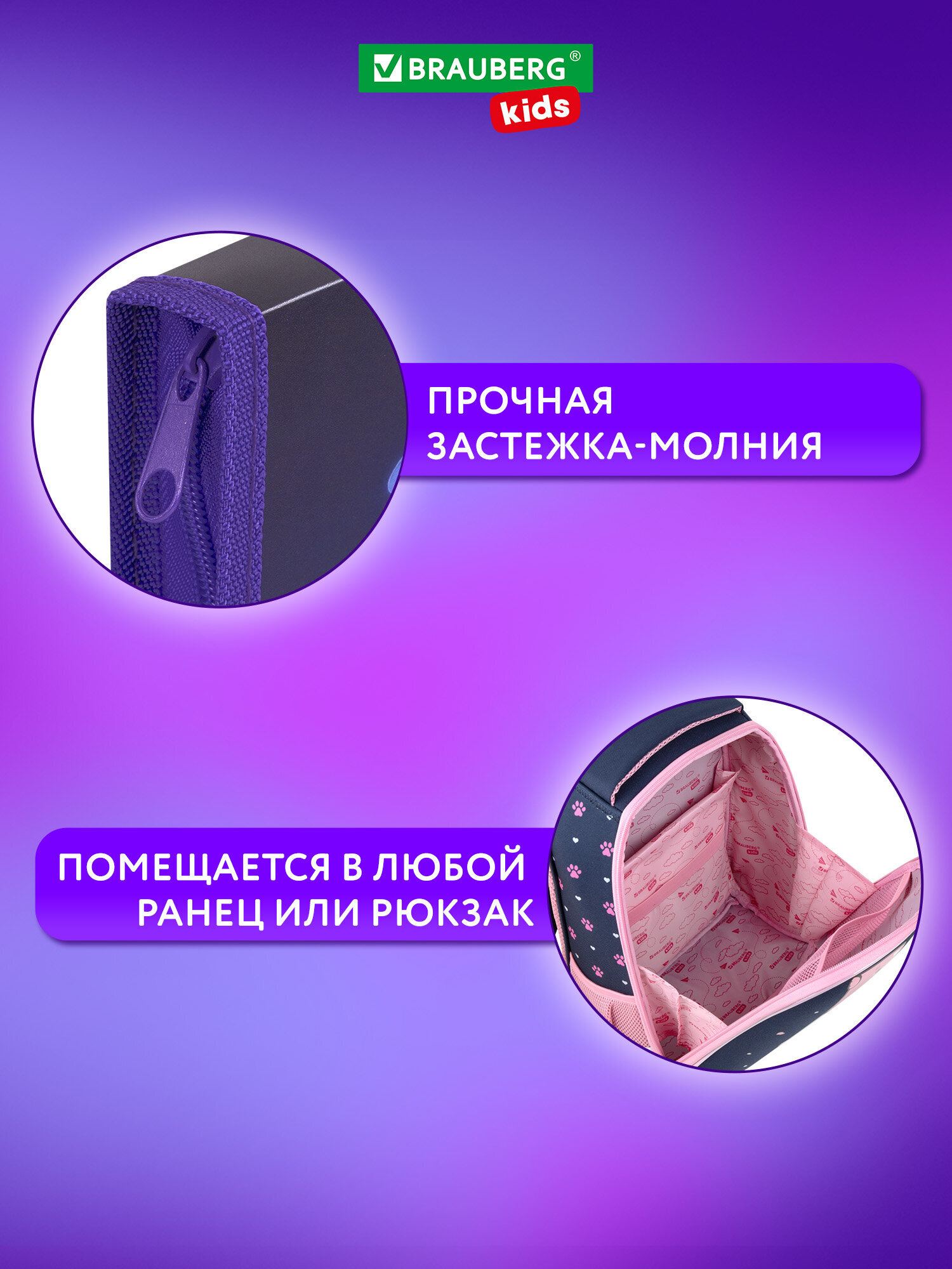 Папка для тетрадей Brauberg любознательный кот А4 - фото 4