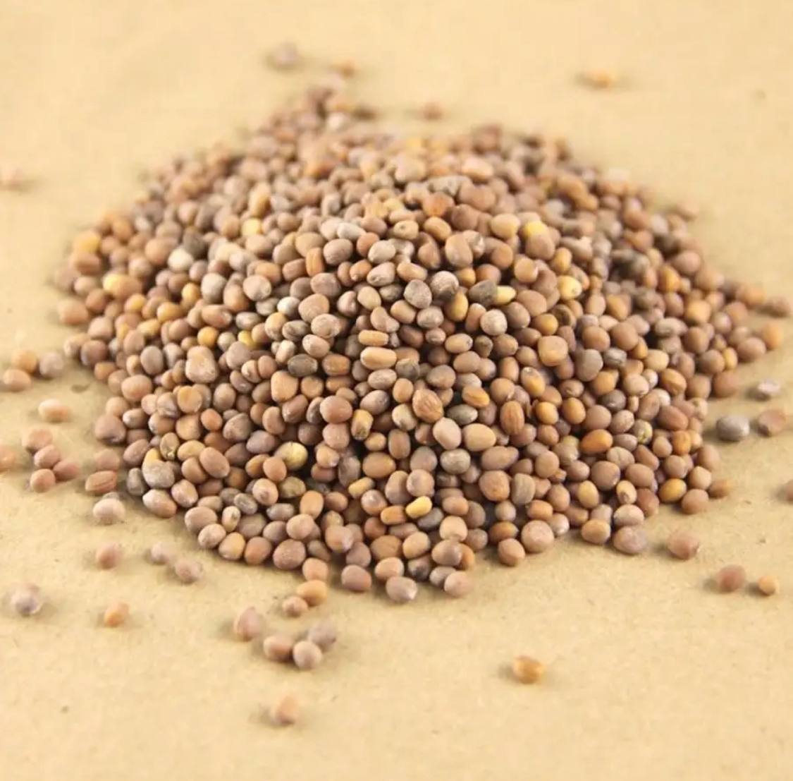 Семена для микрозелени MegaMedia редис - фото 2